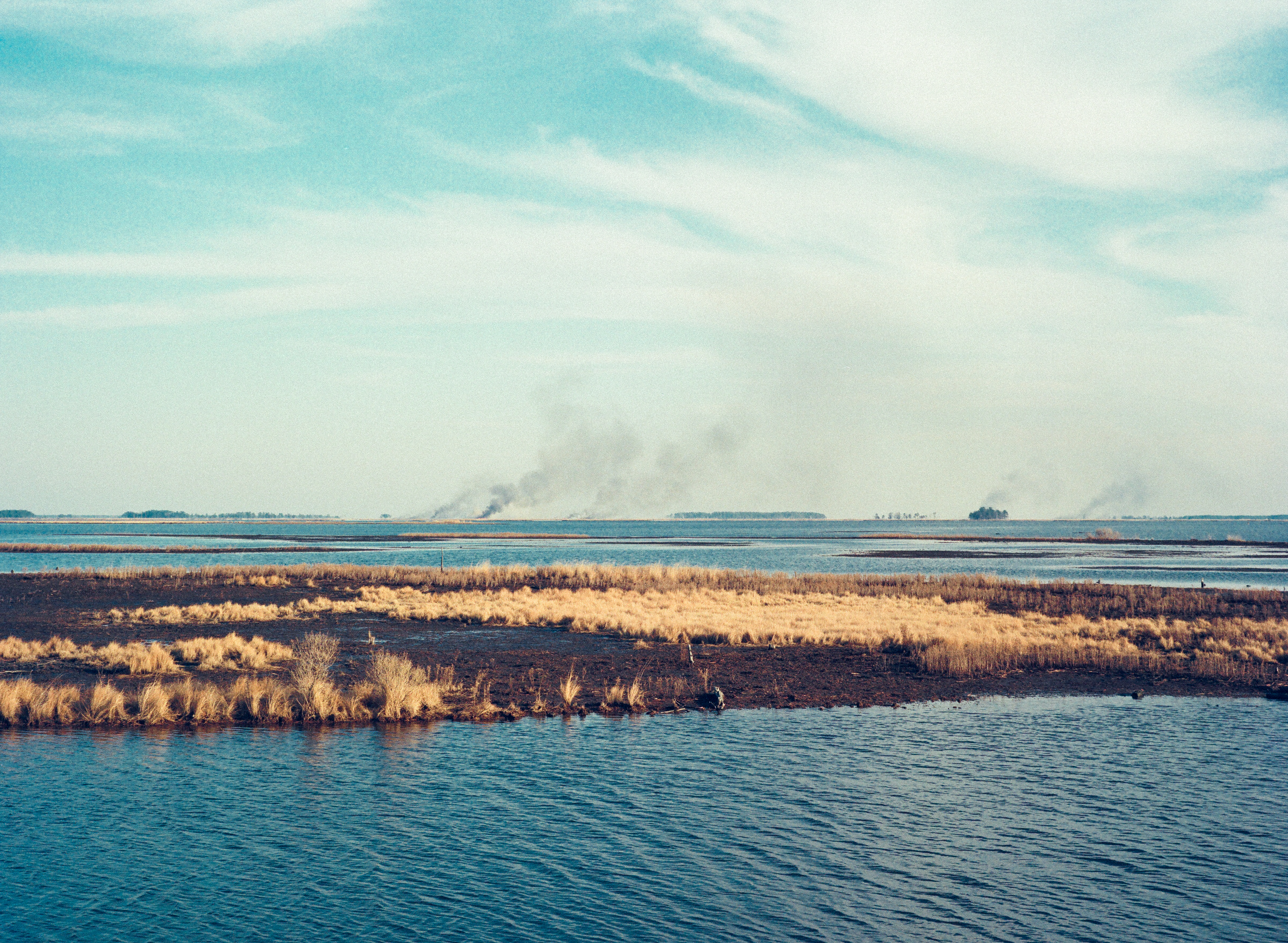 Blackwater Refuge - Shot on Fuji 400H with Mamiya 645 Pro, 1998. Charleston film photography.