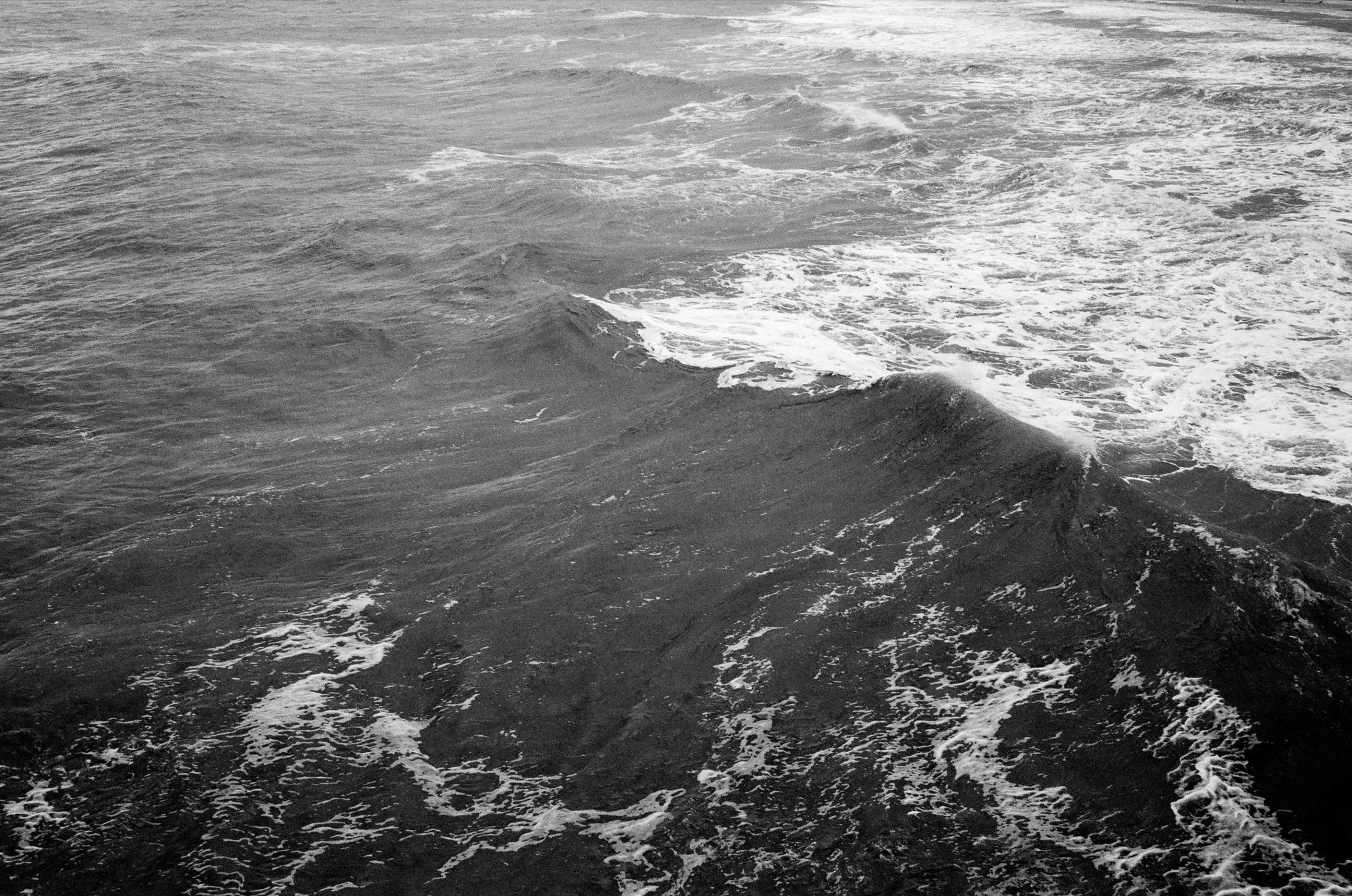 Folly Beach Pier - Shot on TMAX with Leica MP, 2026. Charleston film photography.