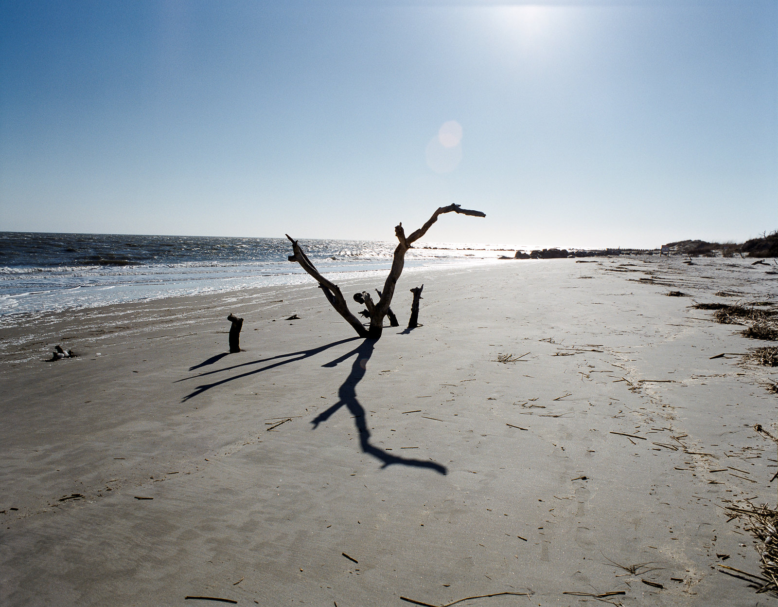 Lighthouse Inlet Heritage Preserve - Shot on Fuji Pro 400H with film camera, 2022. Charleston film photography.