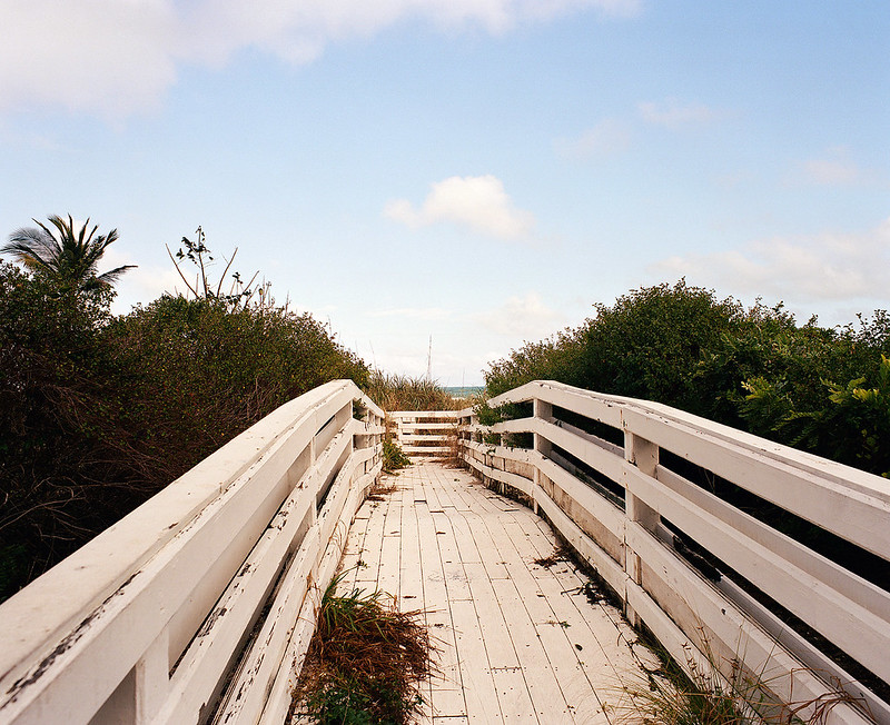 Pentax 67: The Medium Format Camera That Refuses to Die