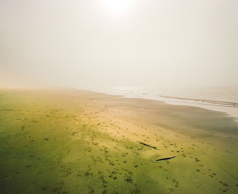 Kodak Portra 400 Review: The Definitive Film Stock Guide