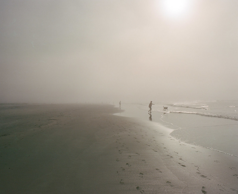 Foggy beach scene shot on Kodak Portra 400